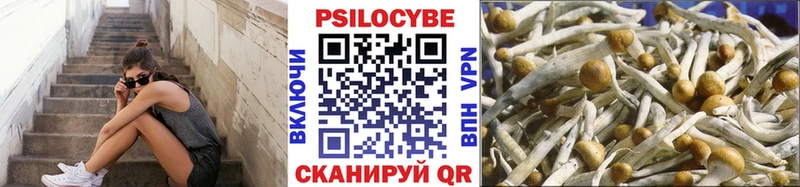 Галлюциногенные грибы прущие грибы  Воркута 