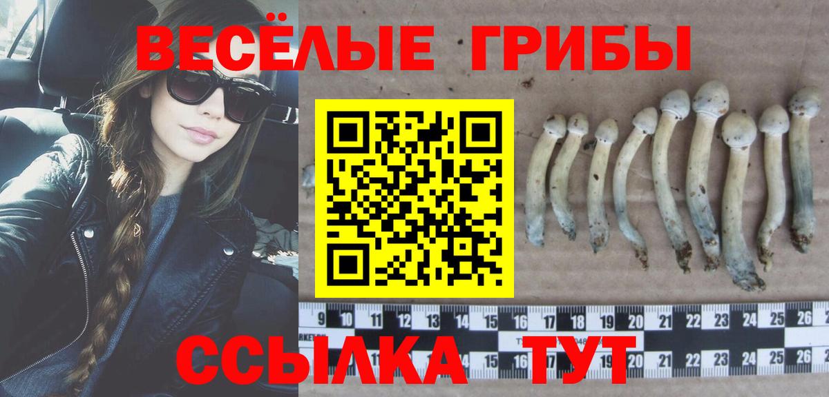 Псилоцибиновые грибы MAGIC MUSHROOMS  Вход с VPN  Воркута 